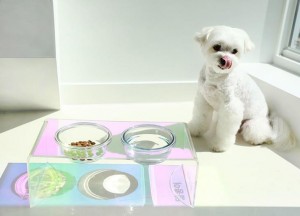 Brugerdefineret logo engros luksus farverig kat hund kæledyr vand foder foder skål