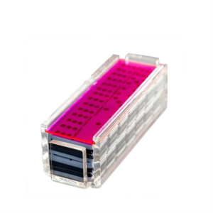 Vitrina de varios colores Juego de dominó de plexiglás Caja de acrílico de neón