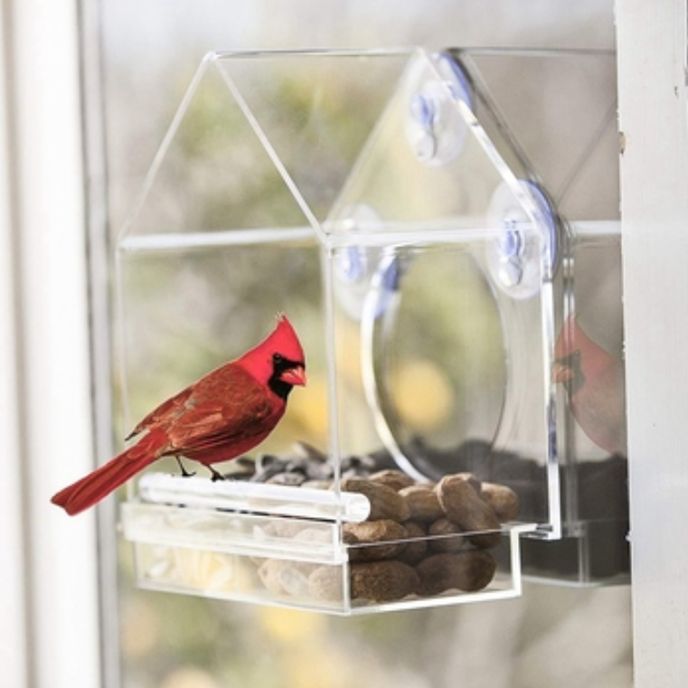 شفاف وائلڊ پيٽ ڪيج سکشن ڪپ پريميئم سلائيڊنگ ٽري ٻاهران Perspex acrylic پڌرو birdhouse window bird feeder wit
