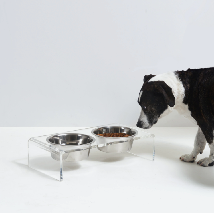 personalizat cu ridicata Transparent transparent castron pentru animale de companie boluri acrilice pentru câini de pisică Stand de hrănire