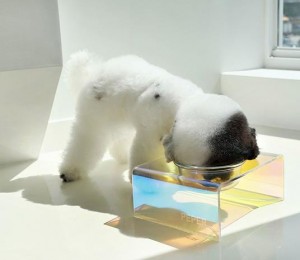주문 로고 도매 호화스러운 다채로운 고양이 개 애완 동물 물 먹이 지류 그릇