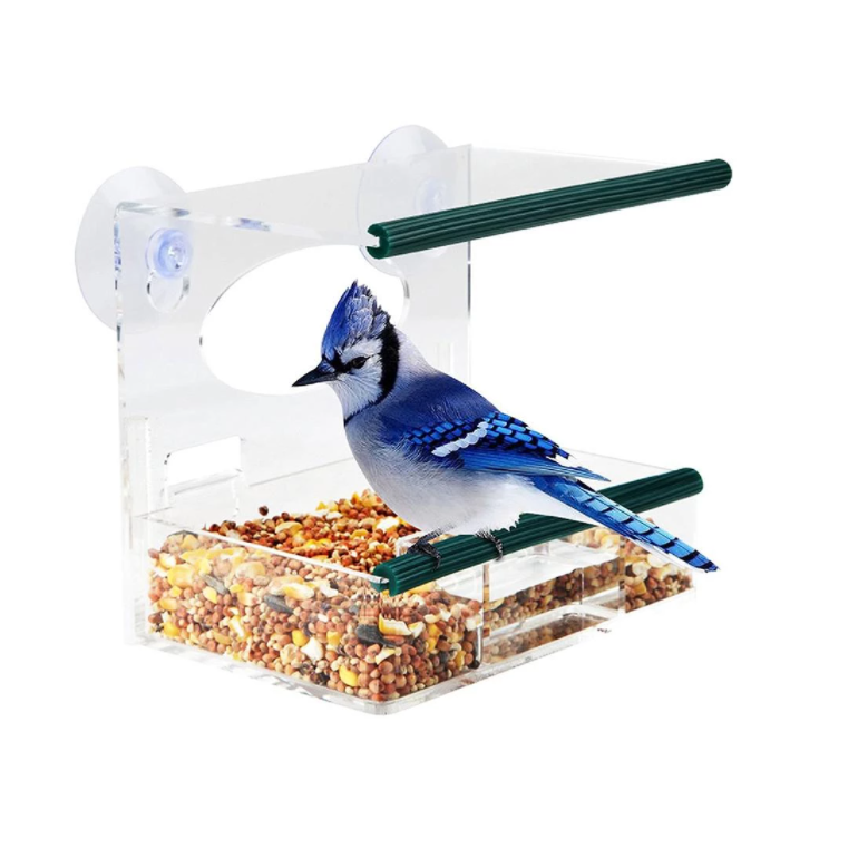 လက္ကားရိုင်း အိမ်မွေးတိရစ္ဆာန်လှောင်အိမ် စုပ်ခွက် ပရီမီယံလျှောဗန်း အပြင်ဘက် Perspex acrylic ရှင်းရှင်းလင်းလင်း birdhouse ပြတင်းပေါက် bird feeder wit