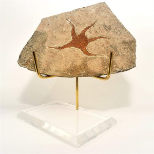 Acrylic Base Stone Stand Museum Onetsani Zowonetsera Lucite Mineral Display Stand Easel